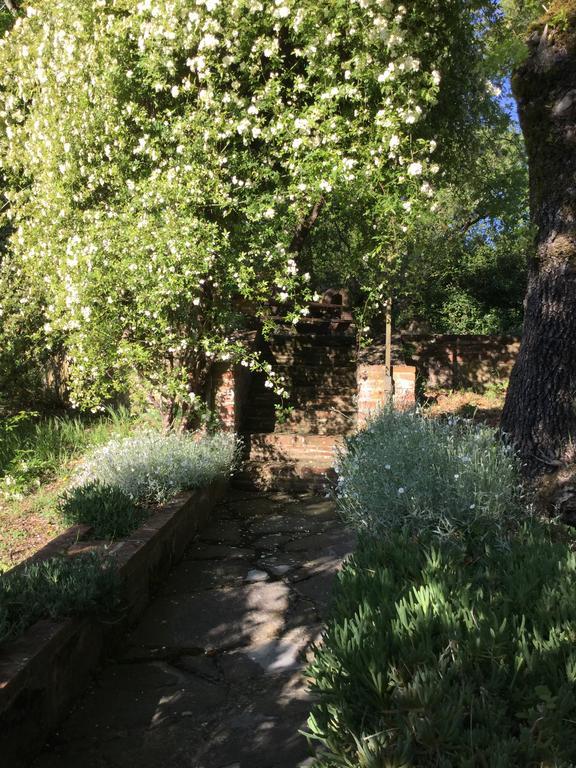 Ferienwohnung La Berchiera Ciggiano Exterior foto