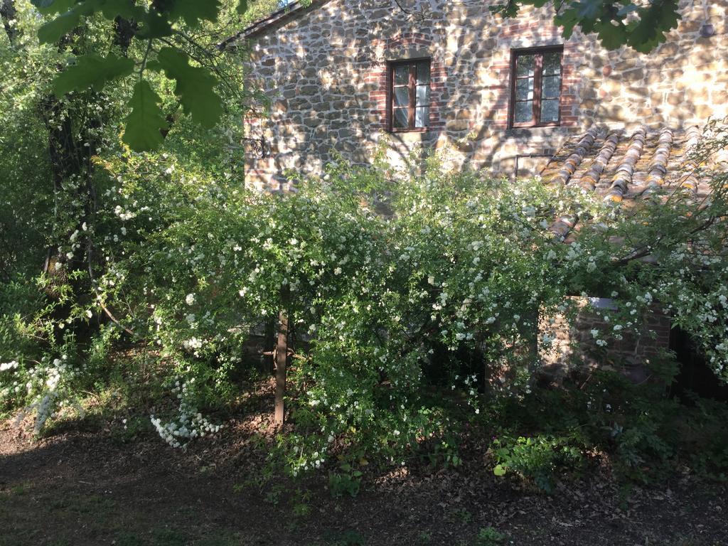 Ferienwohnung La Berchiera Ciggiano Exterior foto